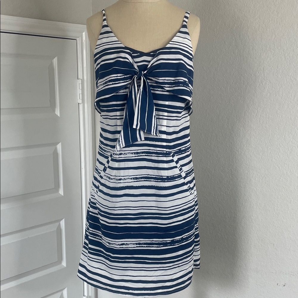 CAbi Navy and White Striped dress